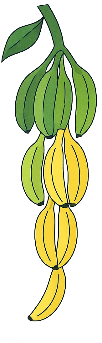 Mascote banana sorridente